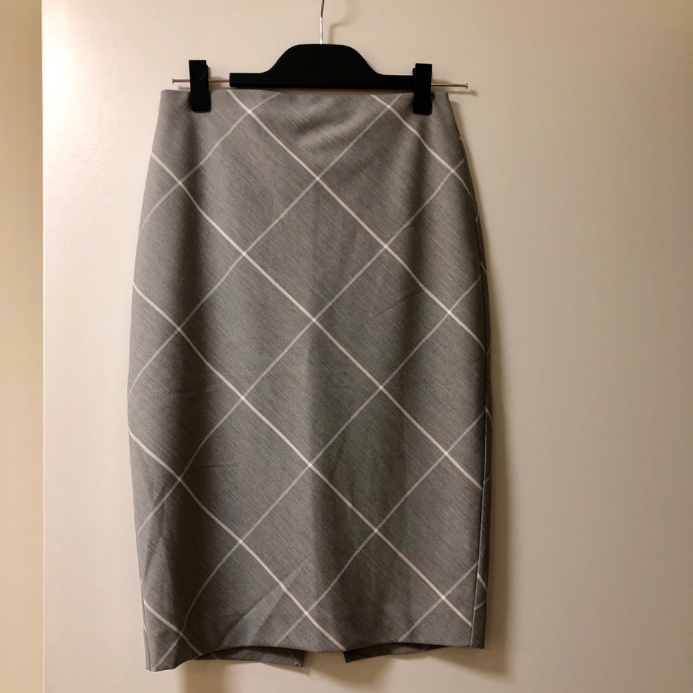 Express Pencil Skirt